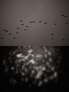 Gaia Diptych 114 – Schwarz-Weiß-Fotodruck in limitierter Auflage