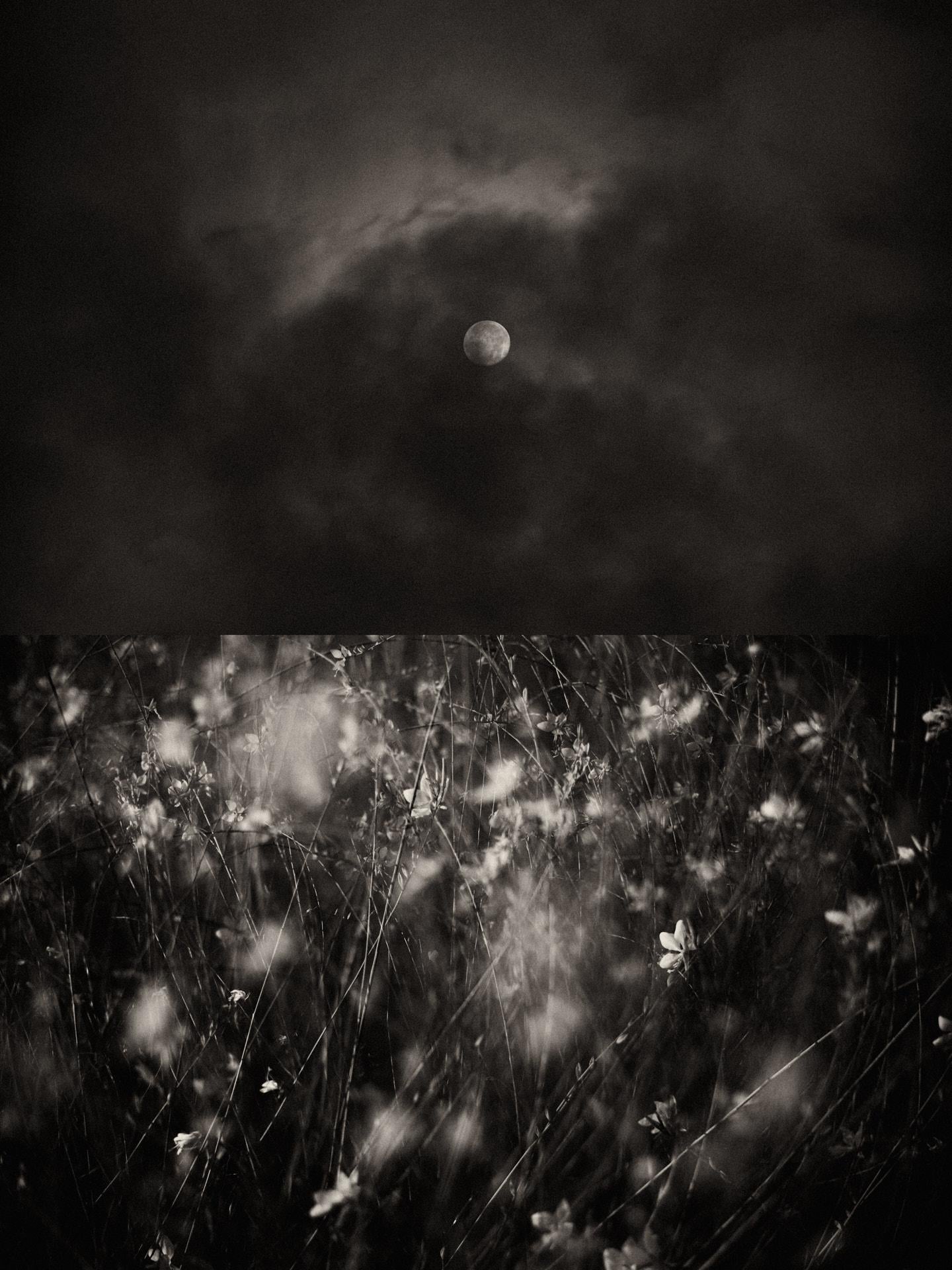 Díptico Gaia 116 - Edición limitada en blanco y negro Impresión fotográfica