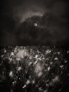 Gaia Diptyque 116 - Tirage photographique noir et blanc en édition limitée