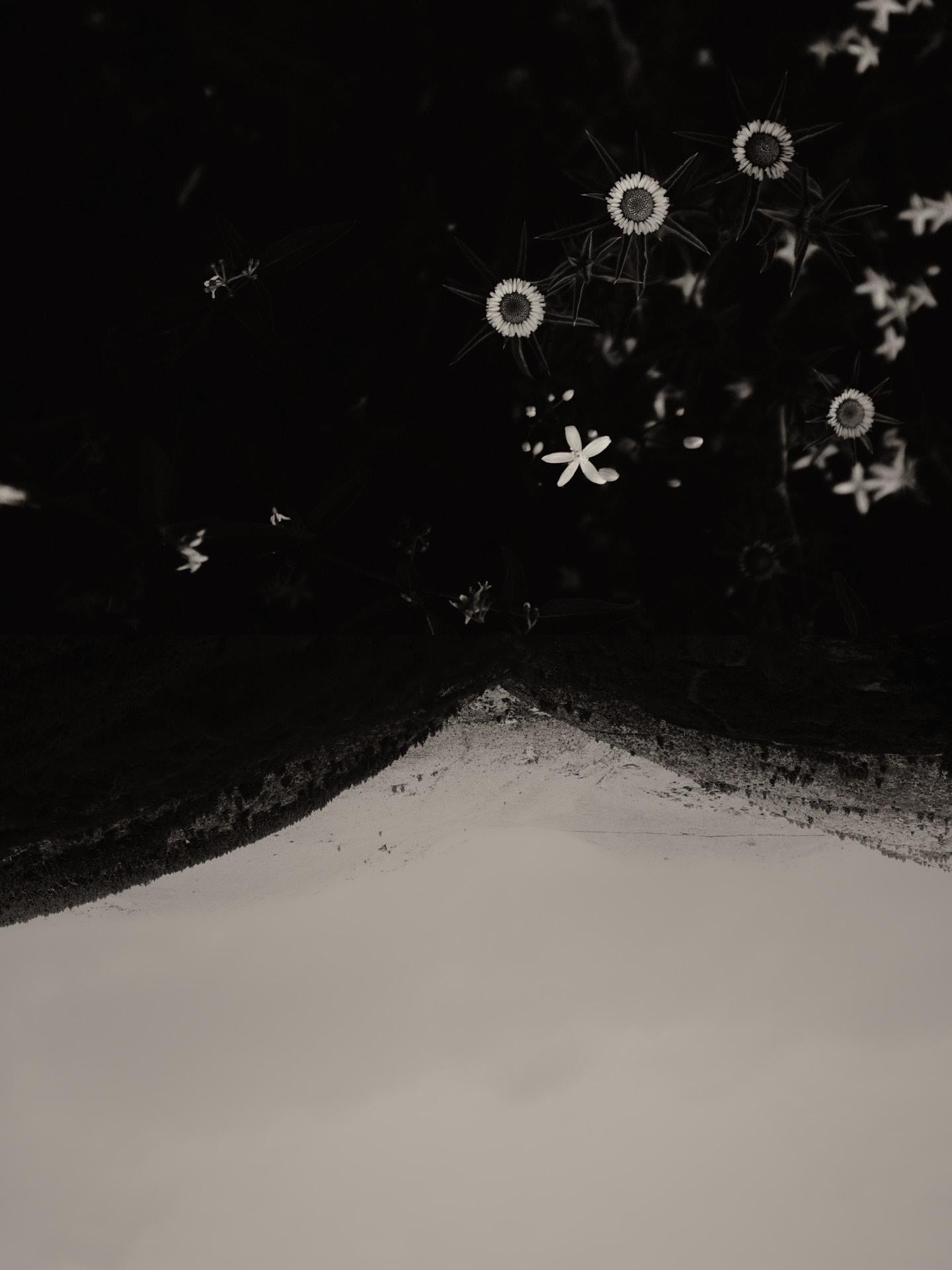 Díptico Gaia #128b - Edición limitada en blanco y negro Impresión fotográfica