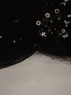 Gaia Diptychon #128b – Schwarz-Weiß-Fotodruck in limitierter Auflage