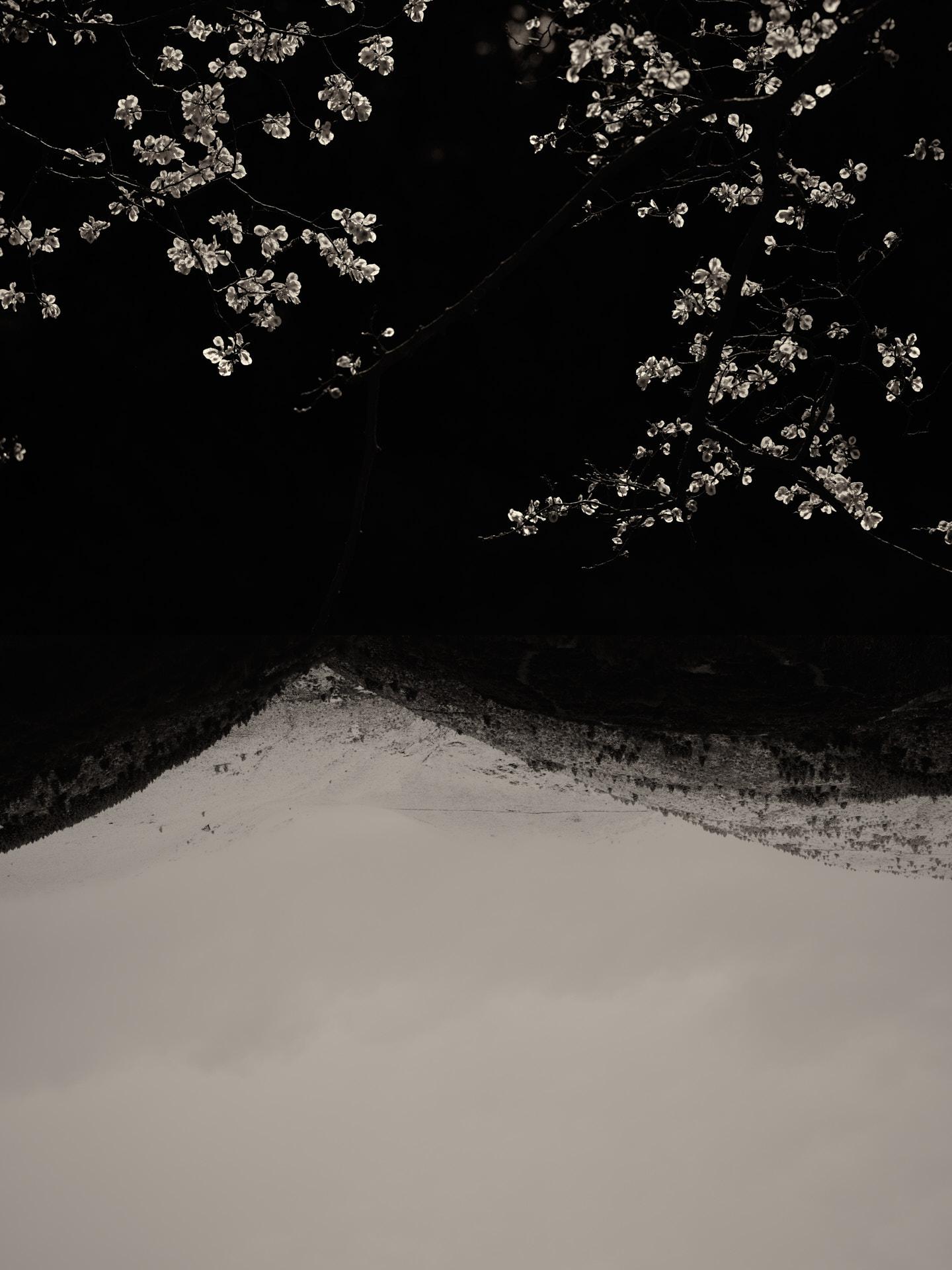 Gaia Diptychon 129 – Schwarz-Weiß-Fotodruck in limitierter Auflage