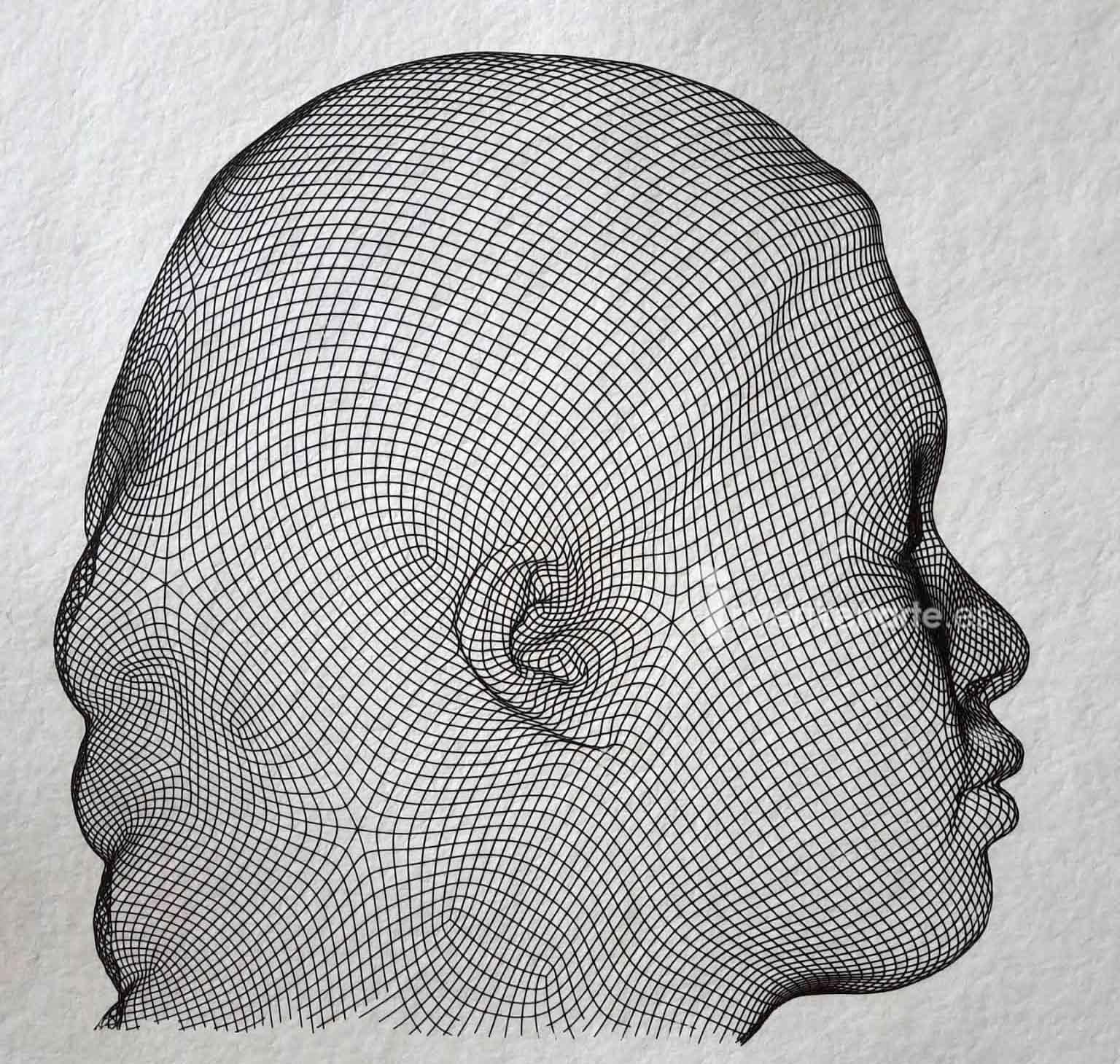 Volti primitivi Moderni Techno Robot Profilo Umano Digitale Plensa 3D Futuro - Print Contemporaneo di Jaume Plensa