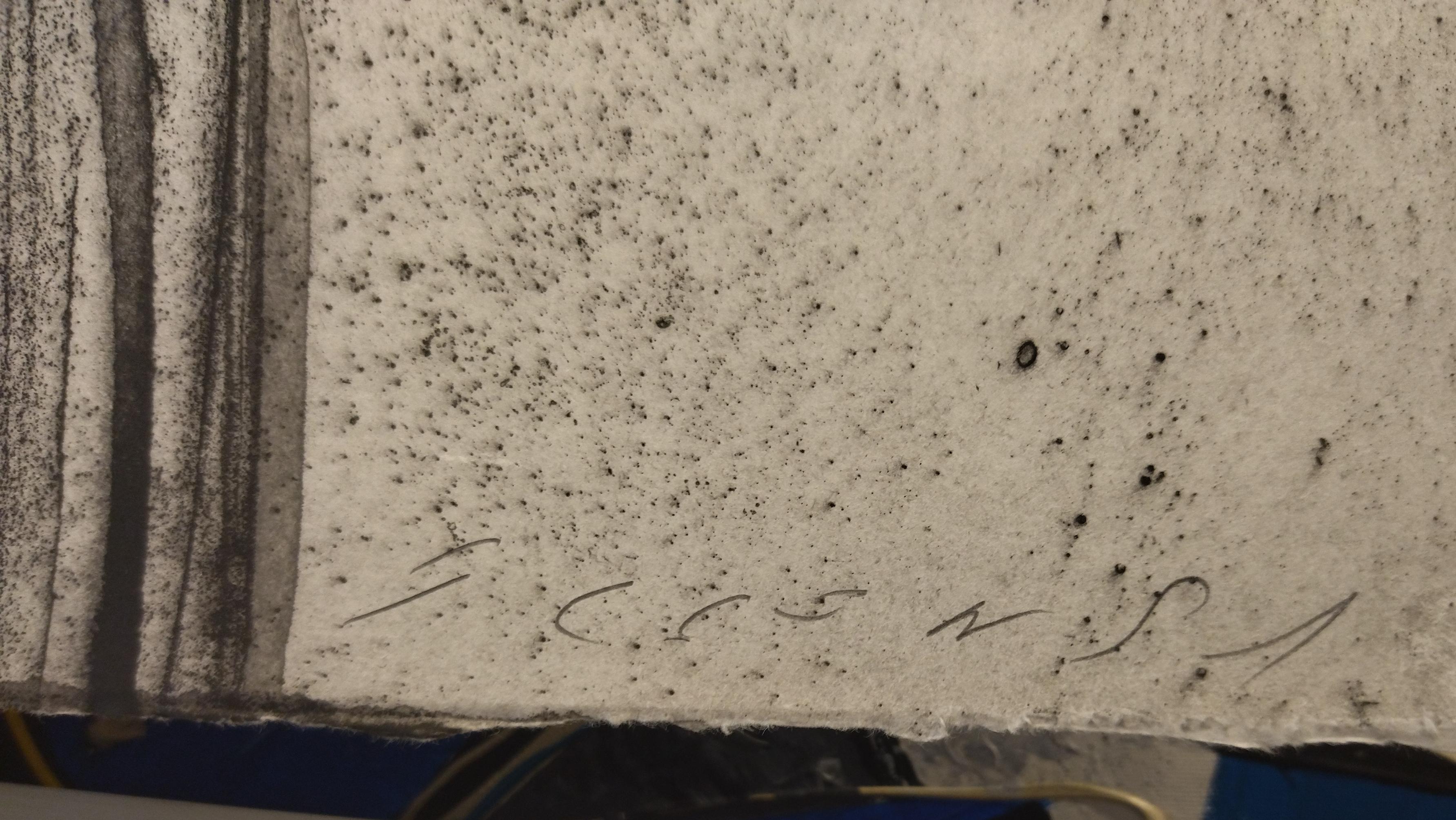 Plensa  BLACK AND WHITE, VERTICAL, MATERNITY, ohne Titel  Radierung Original im Angebot 1