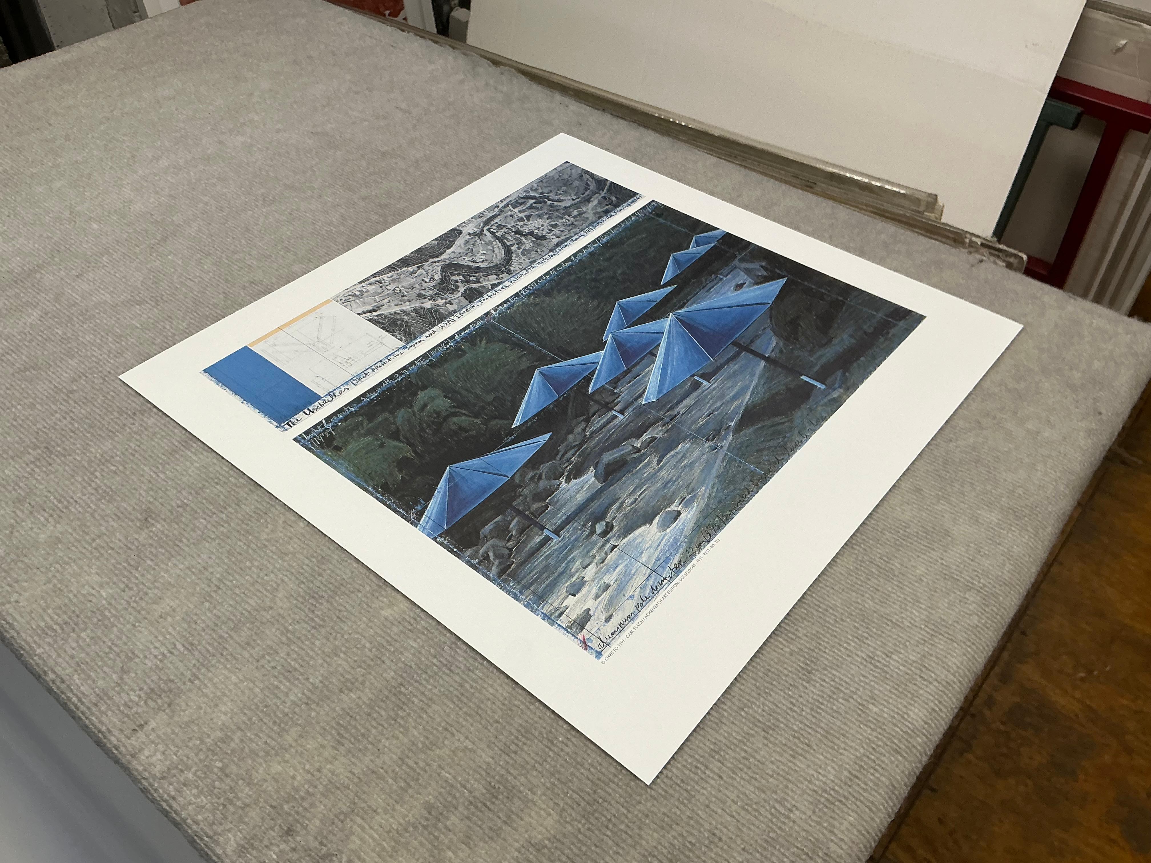 1995 Christo  Les parapluies bleus  Japon Vintage en vente 1