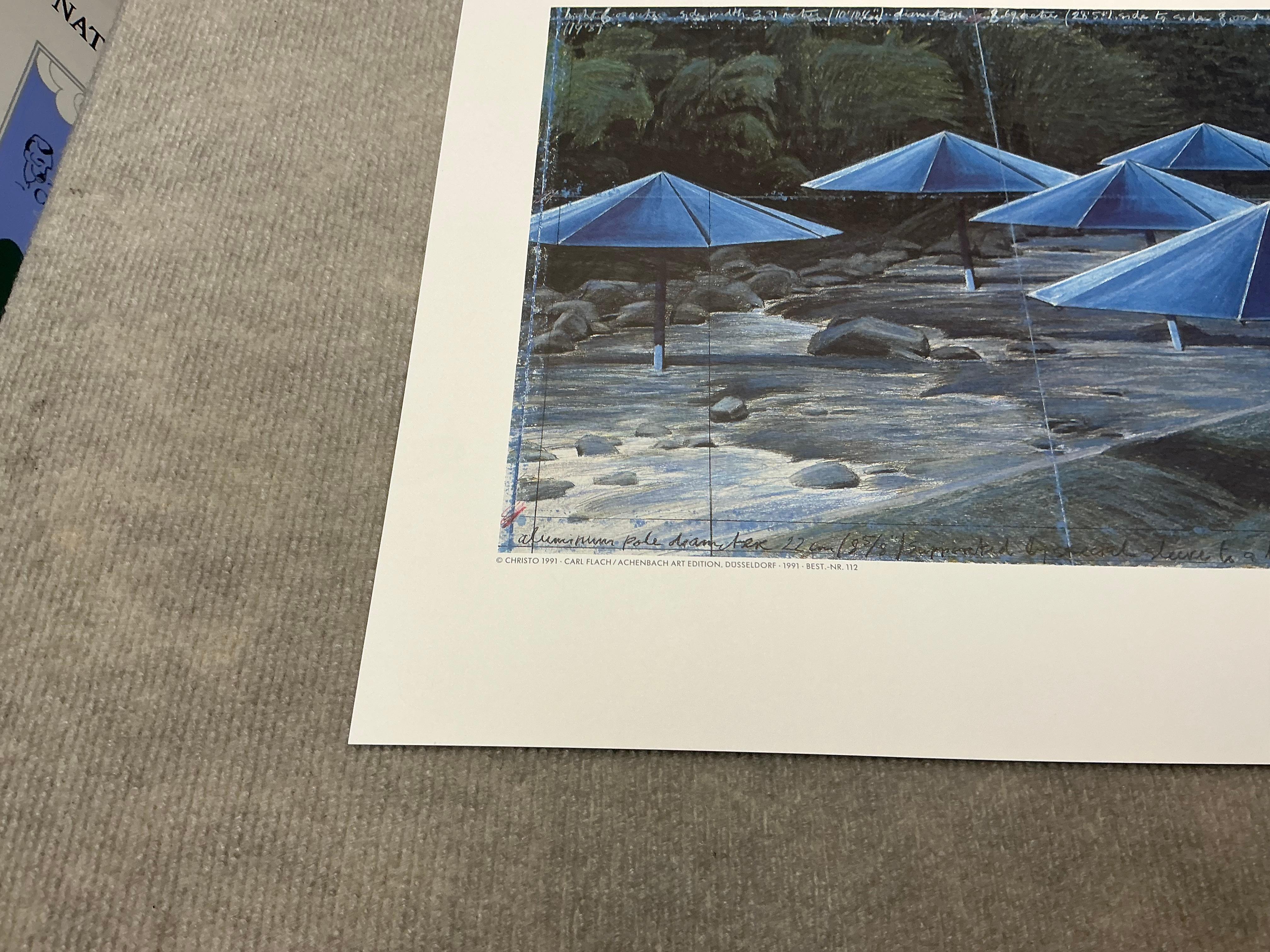 1995 Christo  Les parapluies bleus  Japon Vintage en vente 5