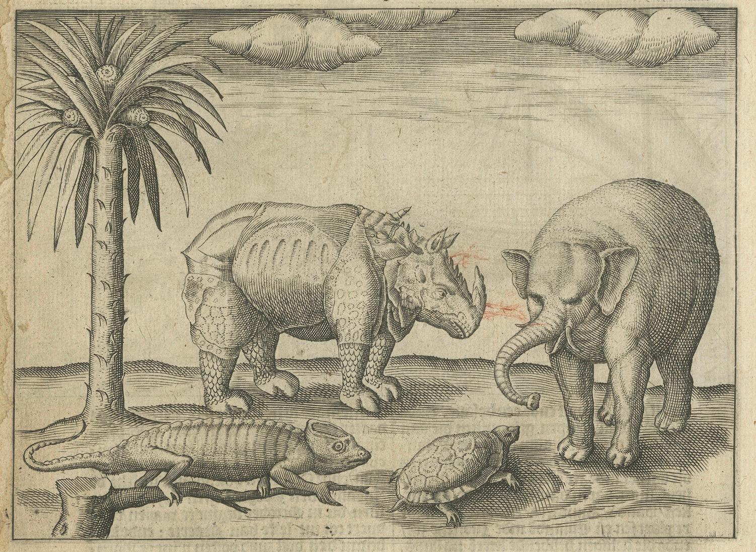 Javanese and Malay Ships near Bantam, from Pontanus’ Amsterdam History, 1611

Plus extra image on the reverse of an elephant, salamandar, turgle and rhino.


This finely detailed early 17th-century engraving depicts a fleet of Southeast Asian