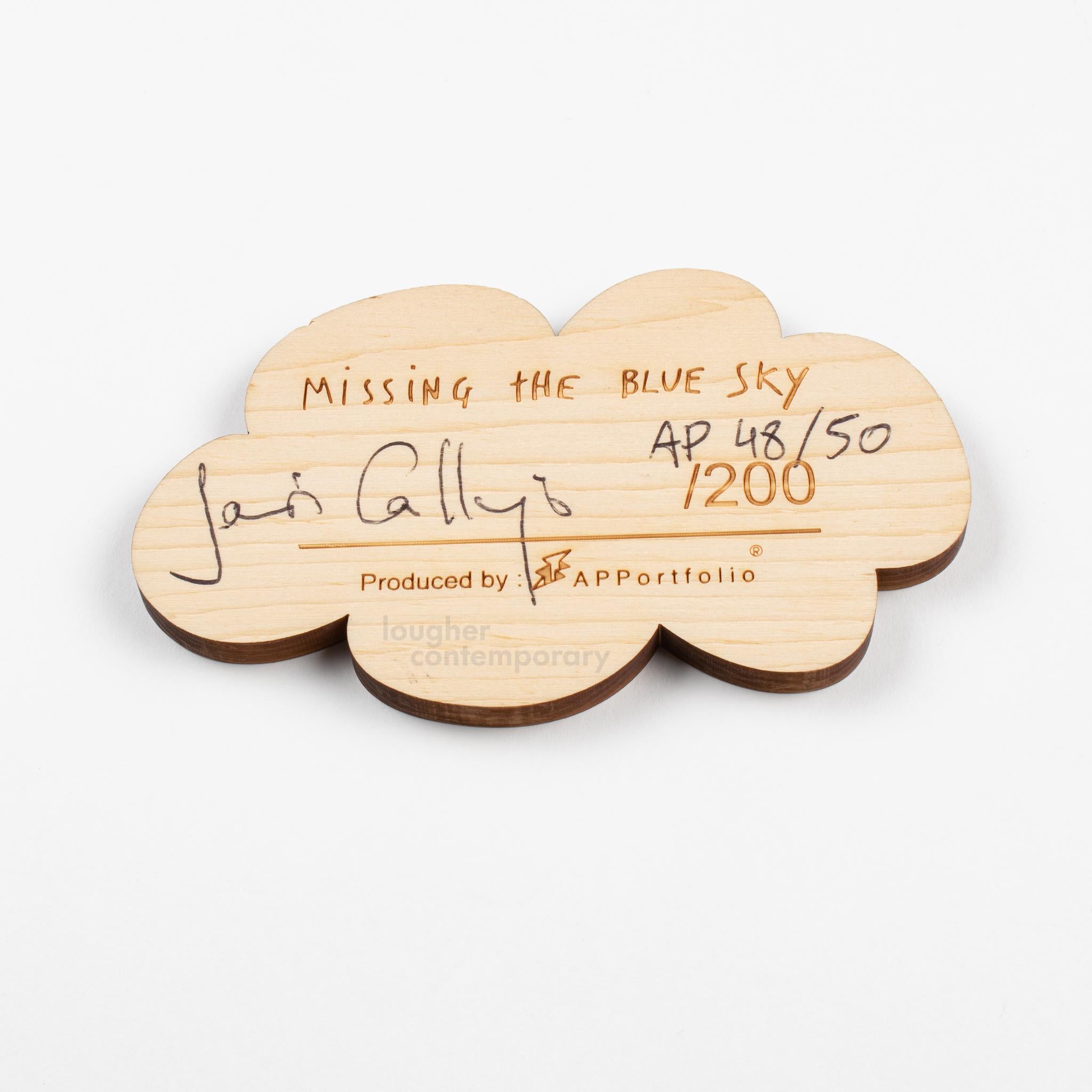 Missing The Blue Sky (Einzigartig) im Angebot 5