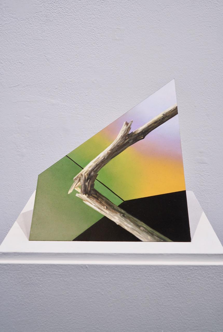 In Javier  Peláez ‘s  recent work, executed in Mexico City for this year’s exhibition project with William Turner Gallery, there are new formal and discursive premises in the composition of the images and also lines of continuity with respect to his