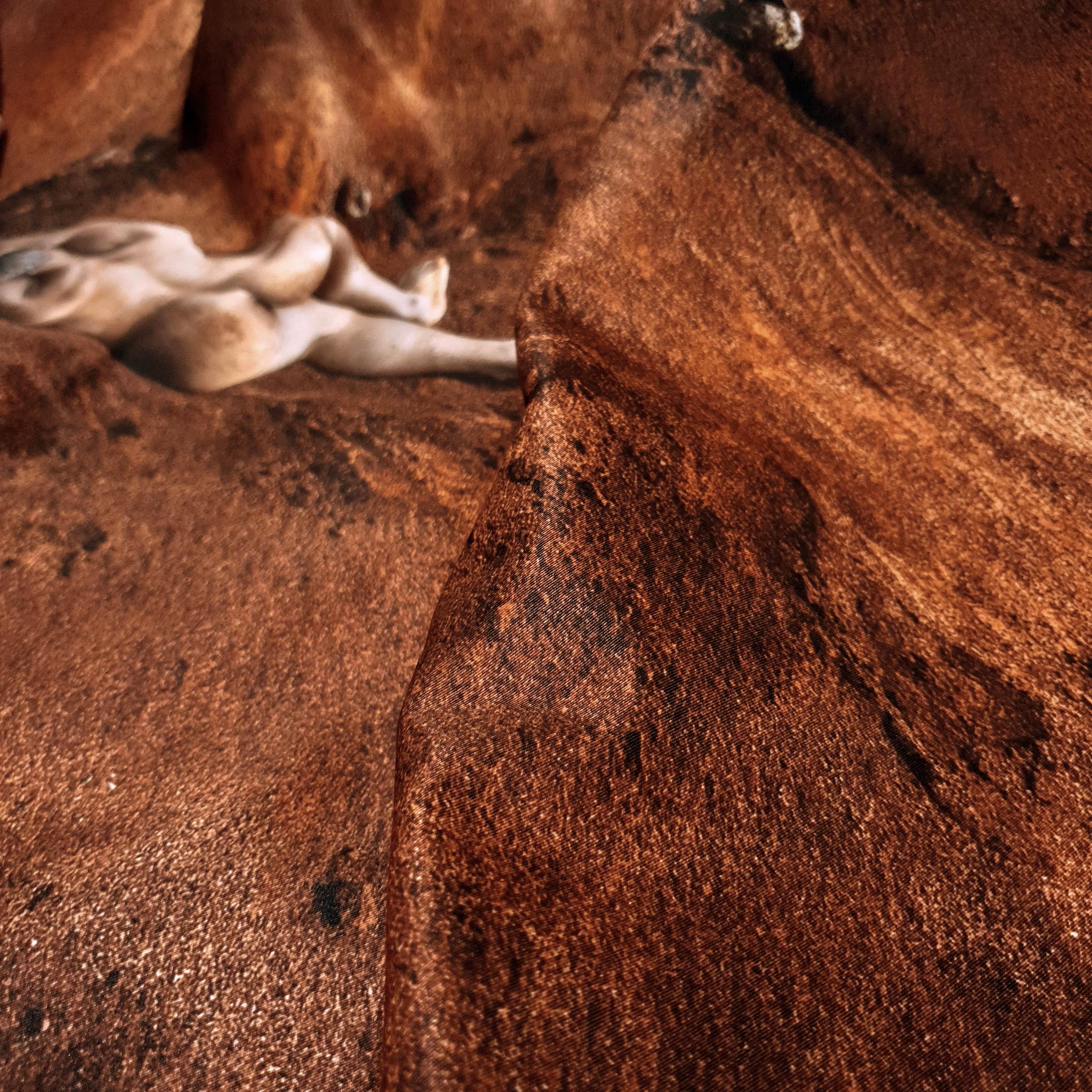 Engullimiento 777. Desnudo en un paisaje. Sublimación sobre textil - Photograph de Javier Rey