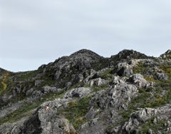 Verschlingung, Berlin #1. Akt in einer Landschaft