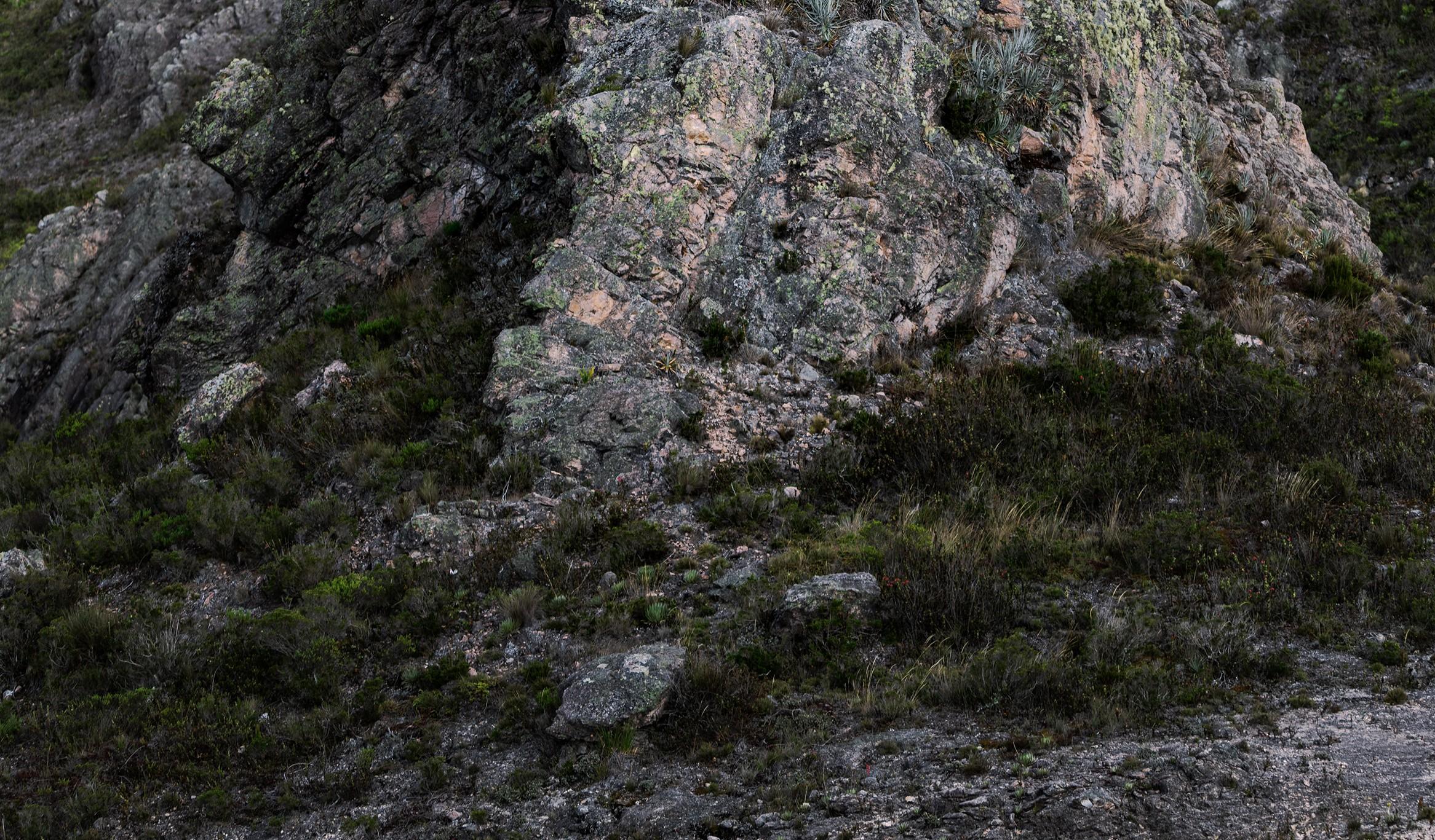 Engloutissement, Berlin #3. Nu dans un paysage - Noir Color Photograph par Javier Rey