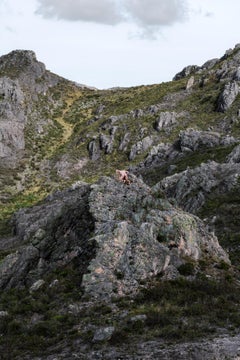 Engulfment, Berlin #3. Nude in a landscape