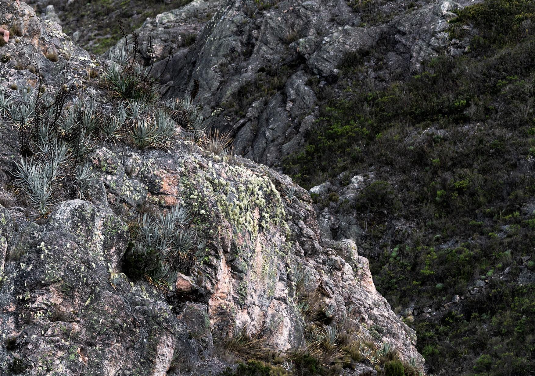 Engloutissement, Berlin #5. Nu dans un paysage - Noir Color Photograph par Javier Rey