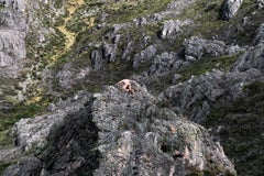Landscape Photography