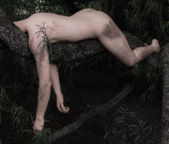 Engulfment, Cordoba 5. Nude in a landscape color photograph