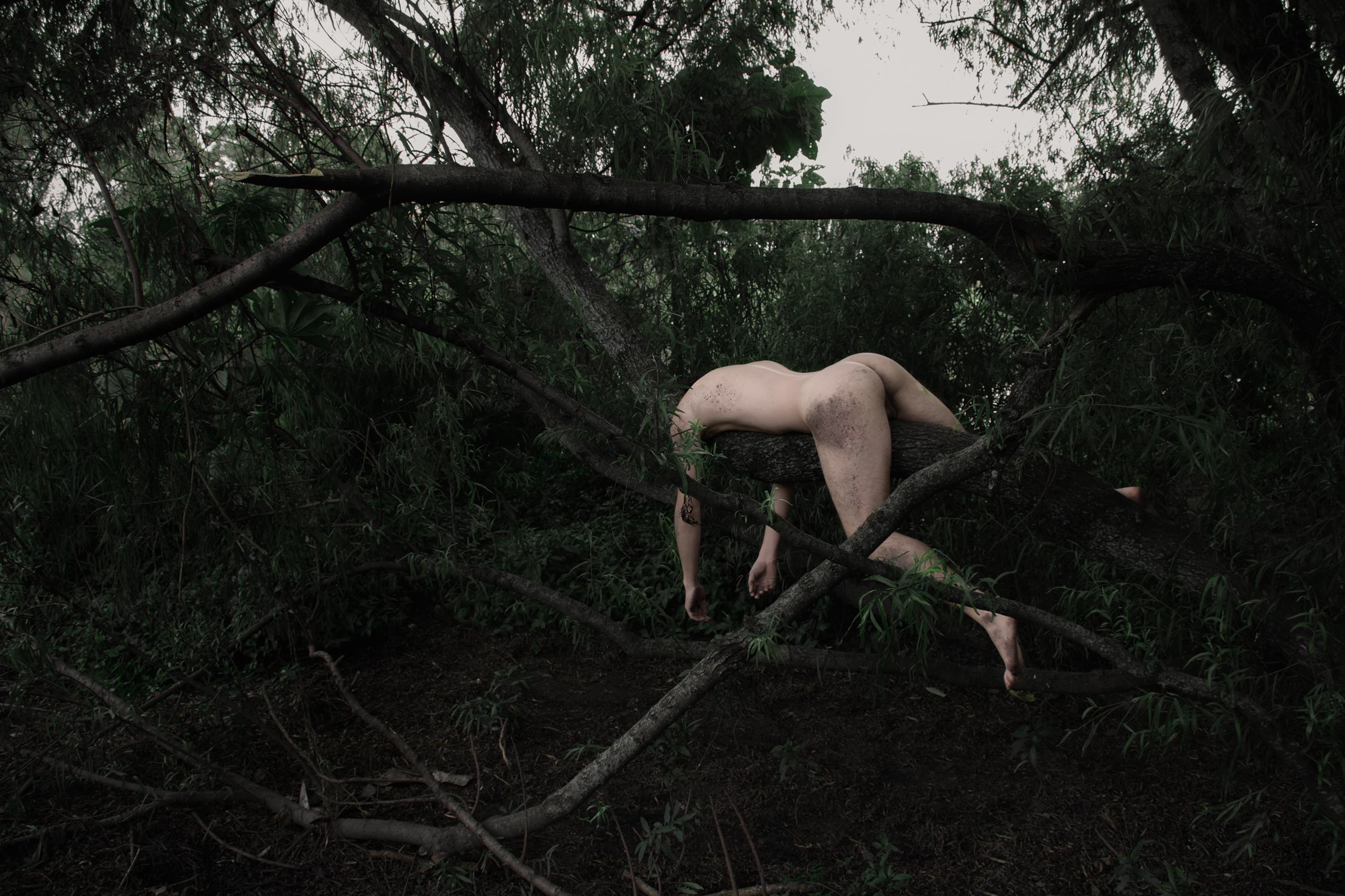 Nude Photograph Javier Rey - Engloutissement (Cordoba 7). De la série Engulfment. Photographie de nu en couleur