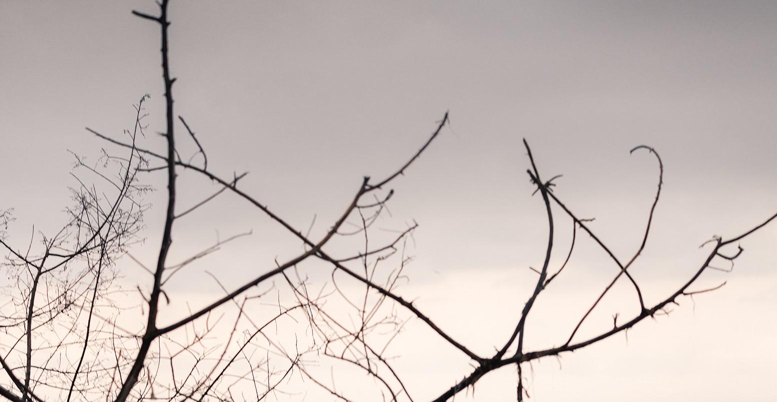 Engloutissement, Manzanillo #3. Nu dans un paysage. - Photograph de Javier Rey