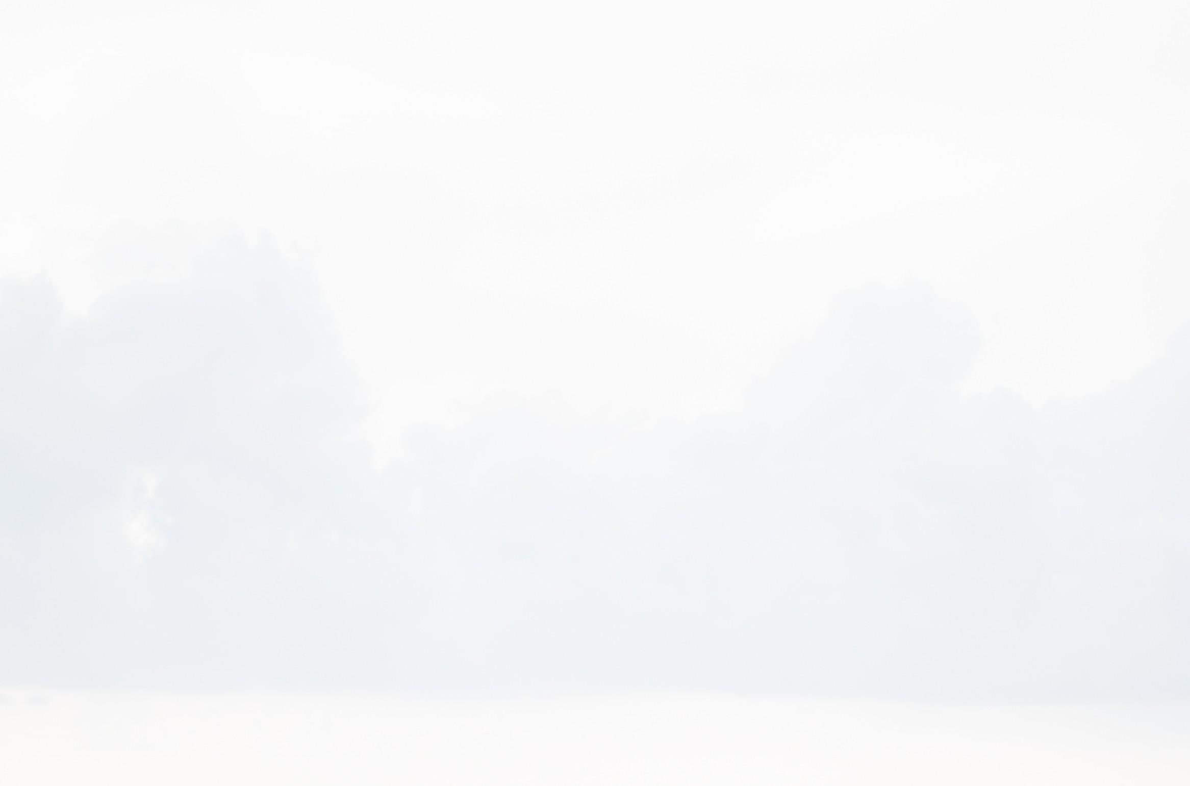 Engullimiento, Manzanillo nº 5. Desnudo en un paisaje - Photograph Contemporáneo de Javier Rey