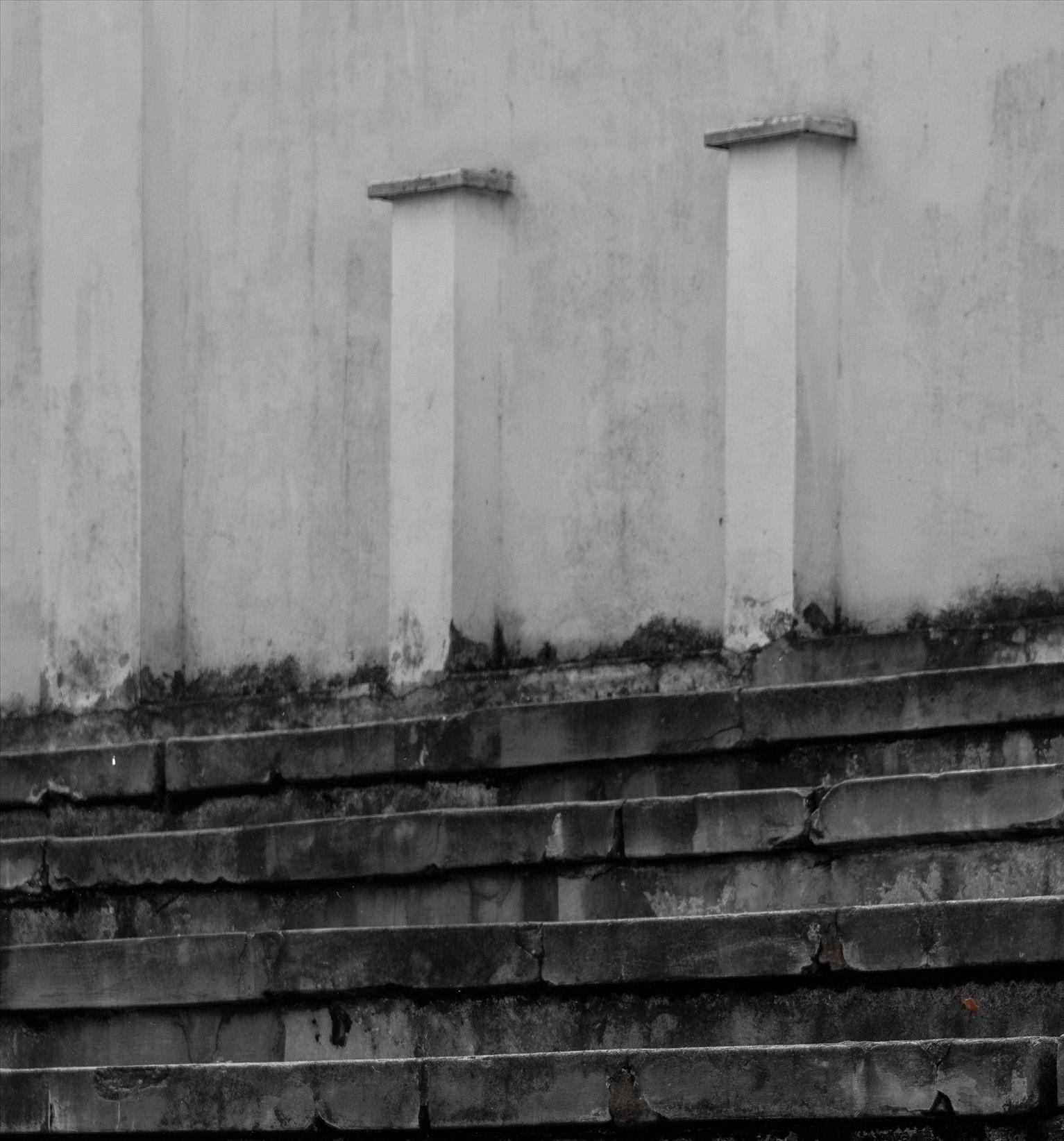 Engulfment, Stadium n°1. Photographie couleur chair. - Noir Color Photograph par Javier Rey