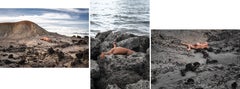 Engullimiento Tatacóa 1, Cartagena 4 y Tatacóa 13, Tríptico. Fotografías de desnudos