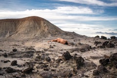 Tatacóa dell'inghiottimento 5. Fotografia di nudo a colori
