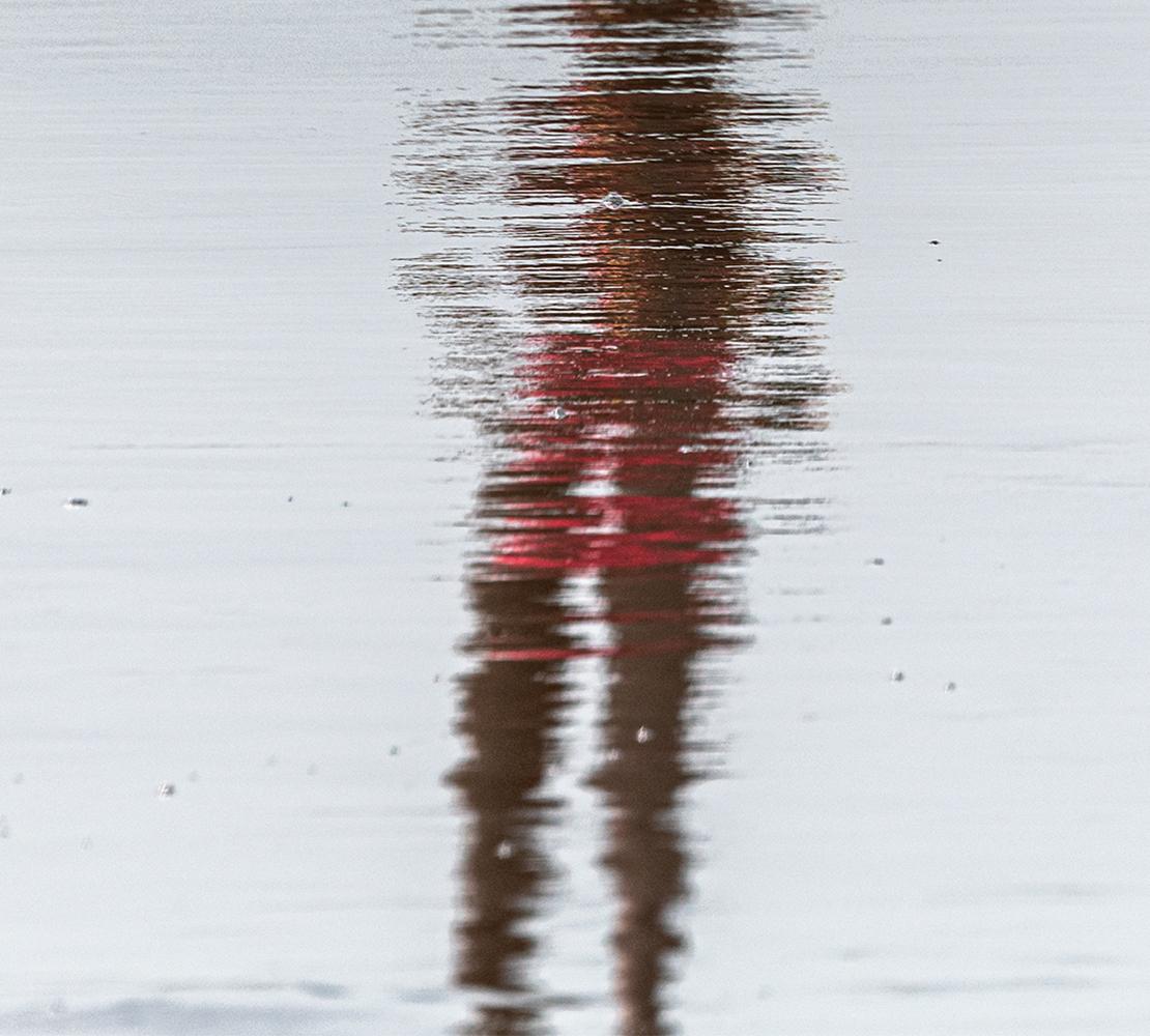 I am a Passenger #1. From the series I am a Passenger. Color abstract photograph - Photograph by Javier Rey