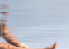 Je suis fugace n°12. De Je suis une série éphémère