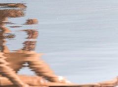 I am fleeting #13. From I am fleeting Series