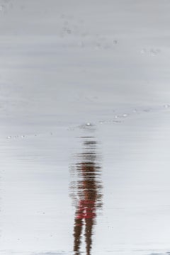 I am fleeting #1 and Mirages #4, Diptych. Color Photography