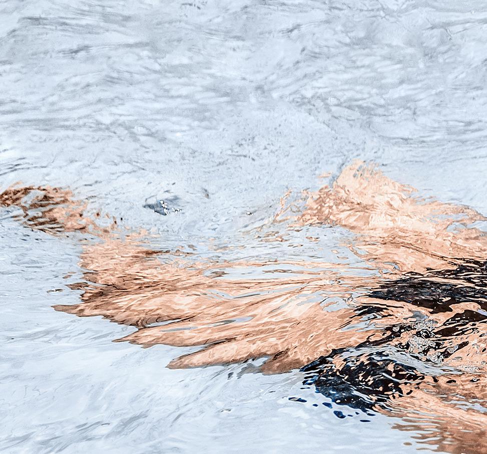 Imelt n°5 et #3, Diptyque. Photographie abstraite de nu en couleur en vente 6