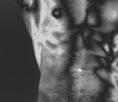 Mythos #1. Aus der Serie Die Mythen der menschlichen Erektion