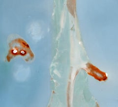 Recordings (Arias). Abstract  color photograph