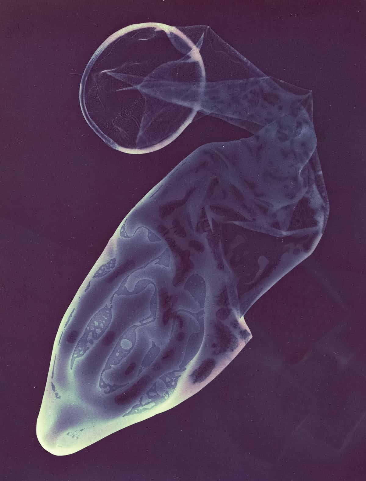 Javier Rey Abstract Photograph – Aufzeichnungen II. Abstrakte Farbfotografie aus der Serie „ Recording Series