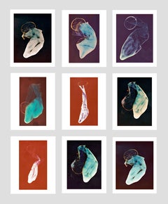 Aufzeichnungen Portfolio. Set aus 9 farbigen Archivpigmentdrucken, die in einer Schachtel eingefasst sind.
