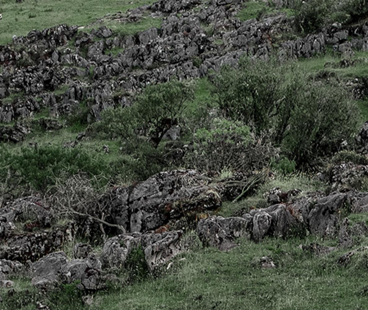 Unión 4. Akt in einer Landschaft Farbfoto. Aus der Reihe Unión – Photograph von Javier Rey