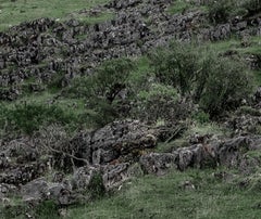 Unión 4. Nude in a landscape color photo. From the Series Unión