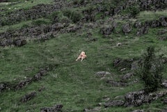 Unión 4. Nude in a landscape color photo. From the Series Unión