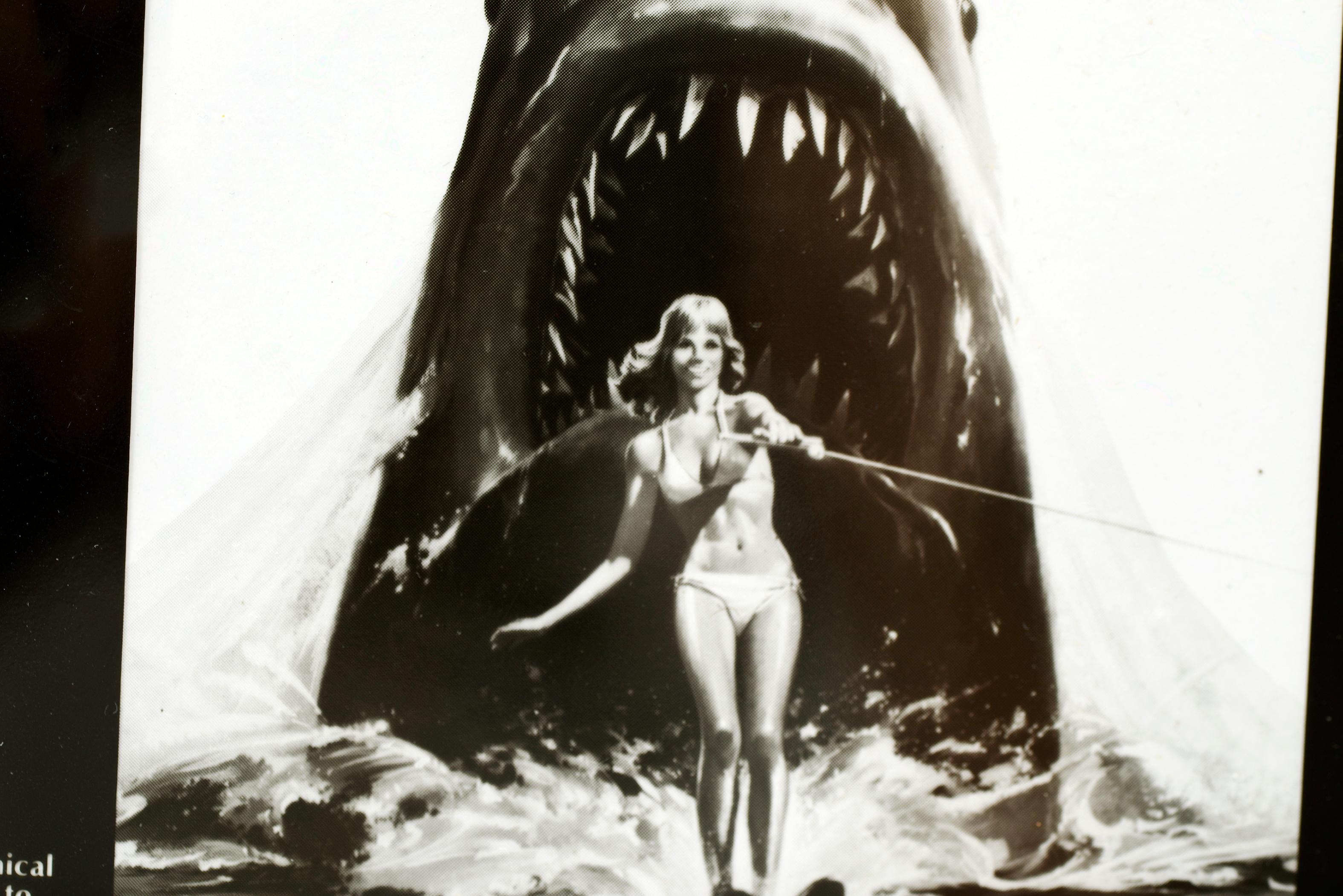 North American Jaws 2, 1978 Original Vintage Movie Advertisement Art Transparency For Sale
