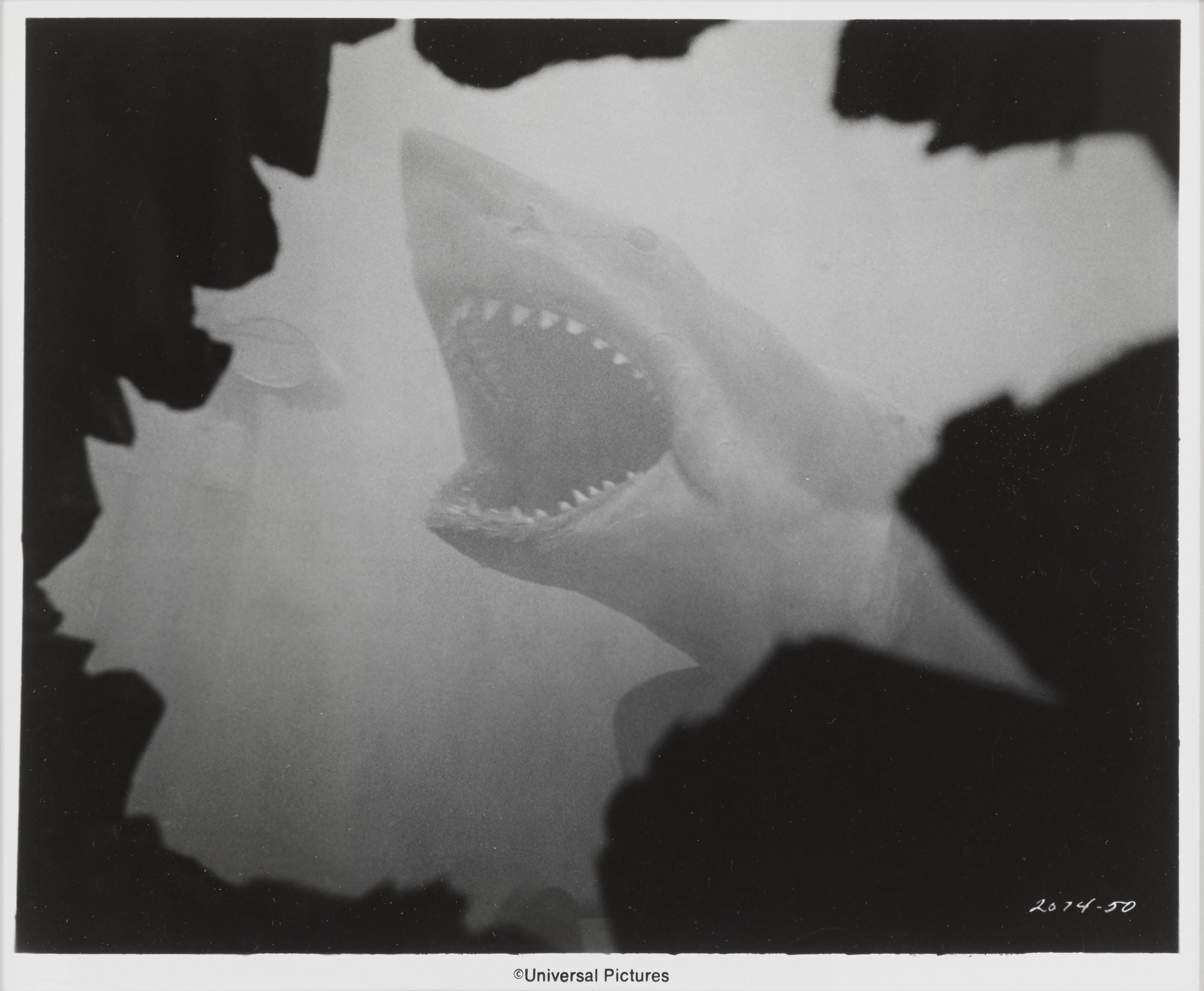 Photo originale en noir et blanc de la production américaine du film classique de 1975 Les Dents de la mer.
Cette photo a été envoyée aux journaux pour annoncer la réédition.
Le film a été réalisé par Steven Spielberg, avec Roy Scheider, Richard