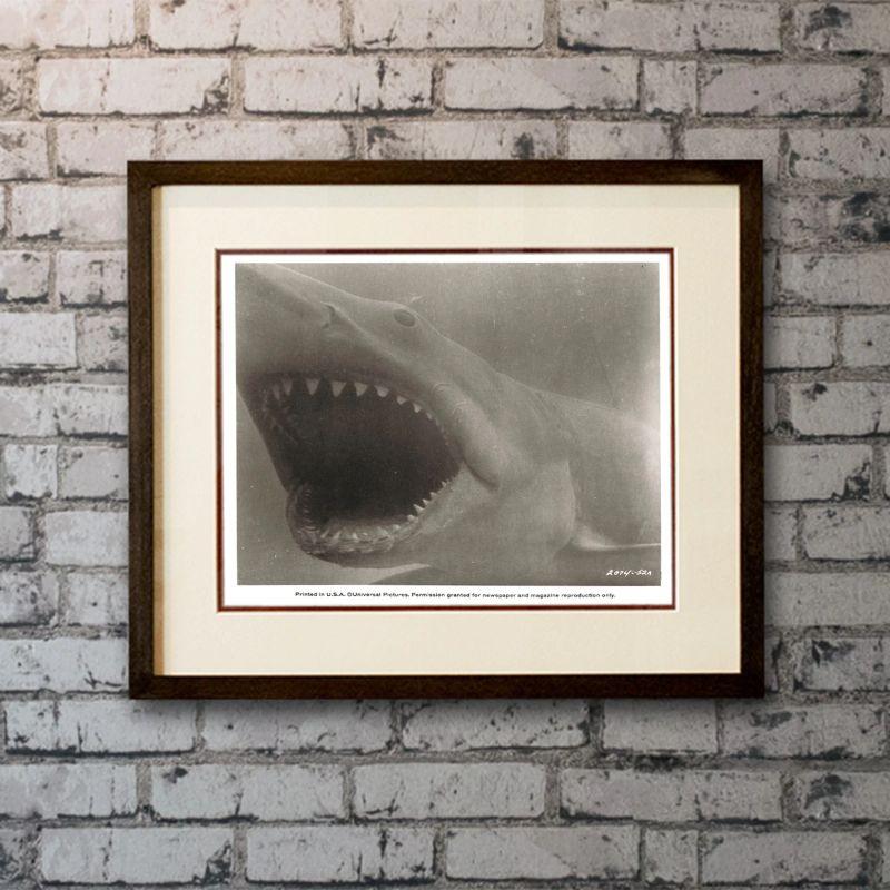 Jaws, Unframed Poster (1975)

Front-of-House Card (8 x 10 inches). Original black and white Publicity-Still for Jaws.

Year: 1975
Nationality: United States
Type: Publicity-Still
Size: 8 x 10

Anti UV Glass & Single Mount Framed Poster:
