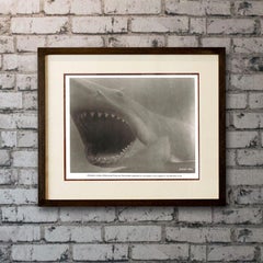 Jaws, Unframed Poster '1975'