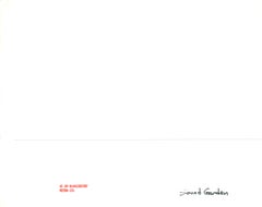 Soundgarden Group Portrait Vintage Original Photograph