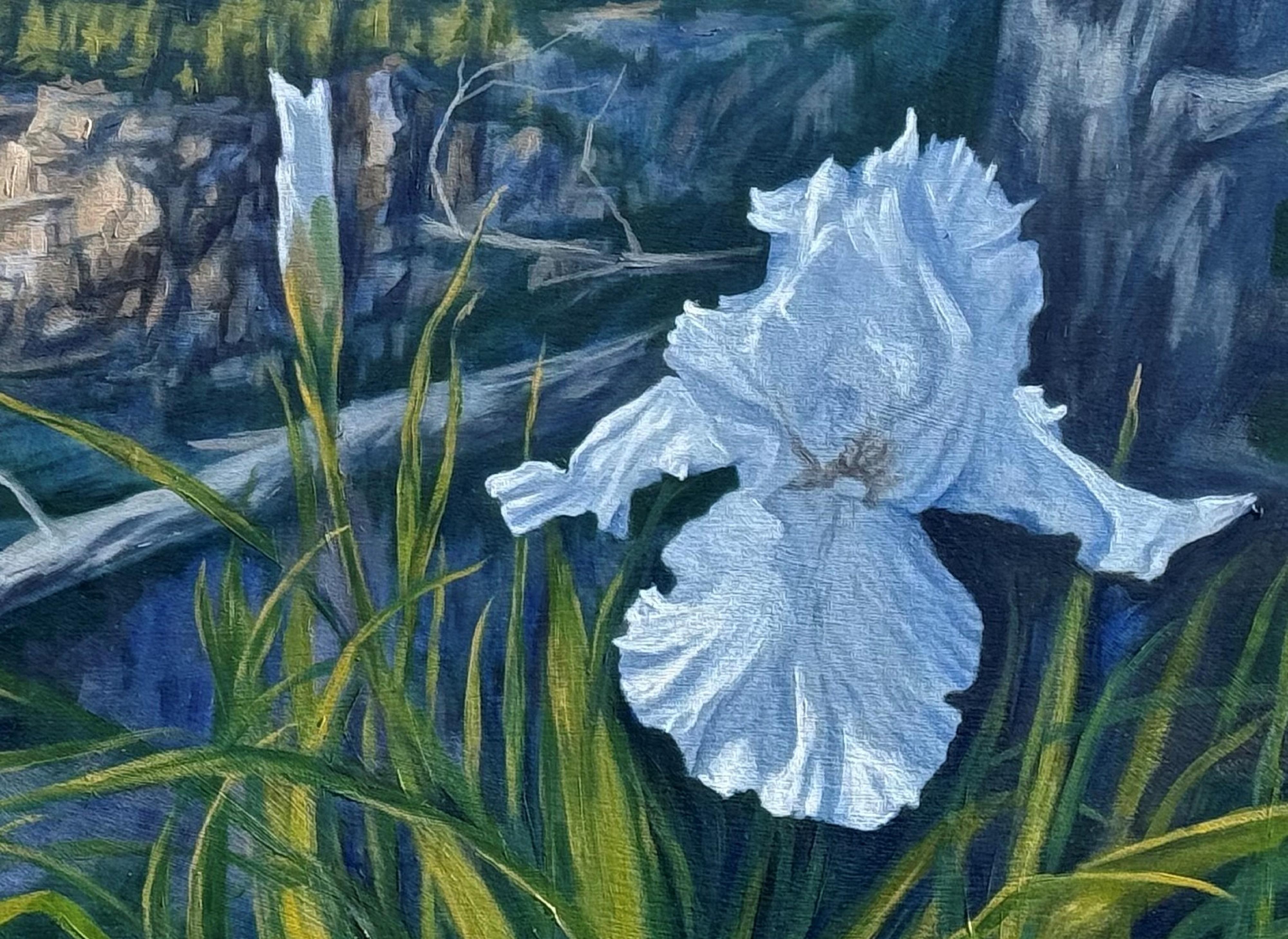 Western Iris, Oil Painting For Sale 1