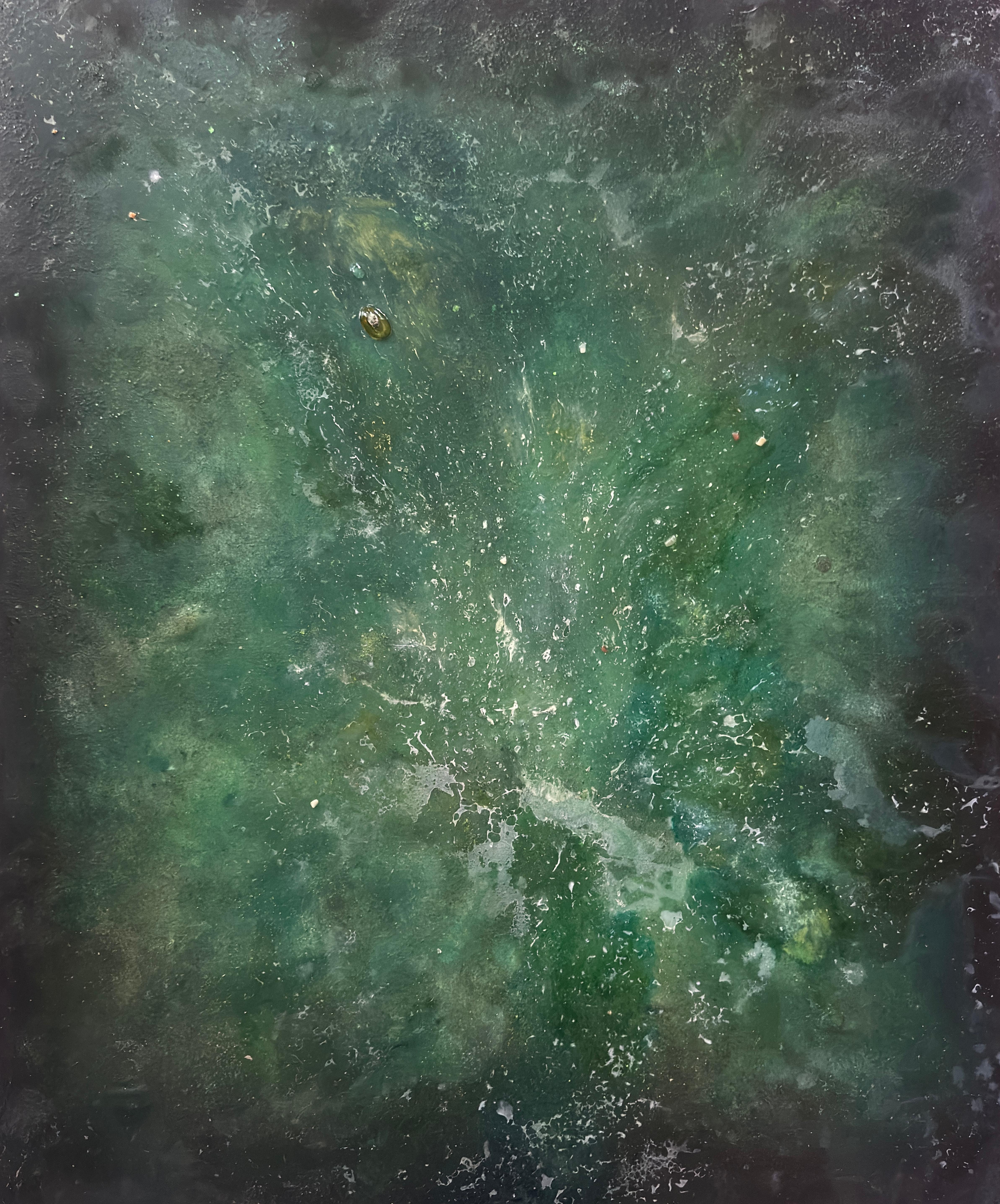 VORTEX 013