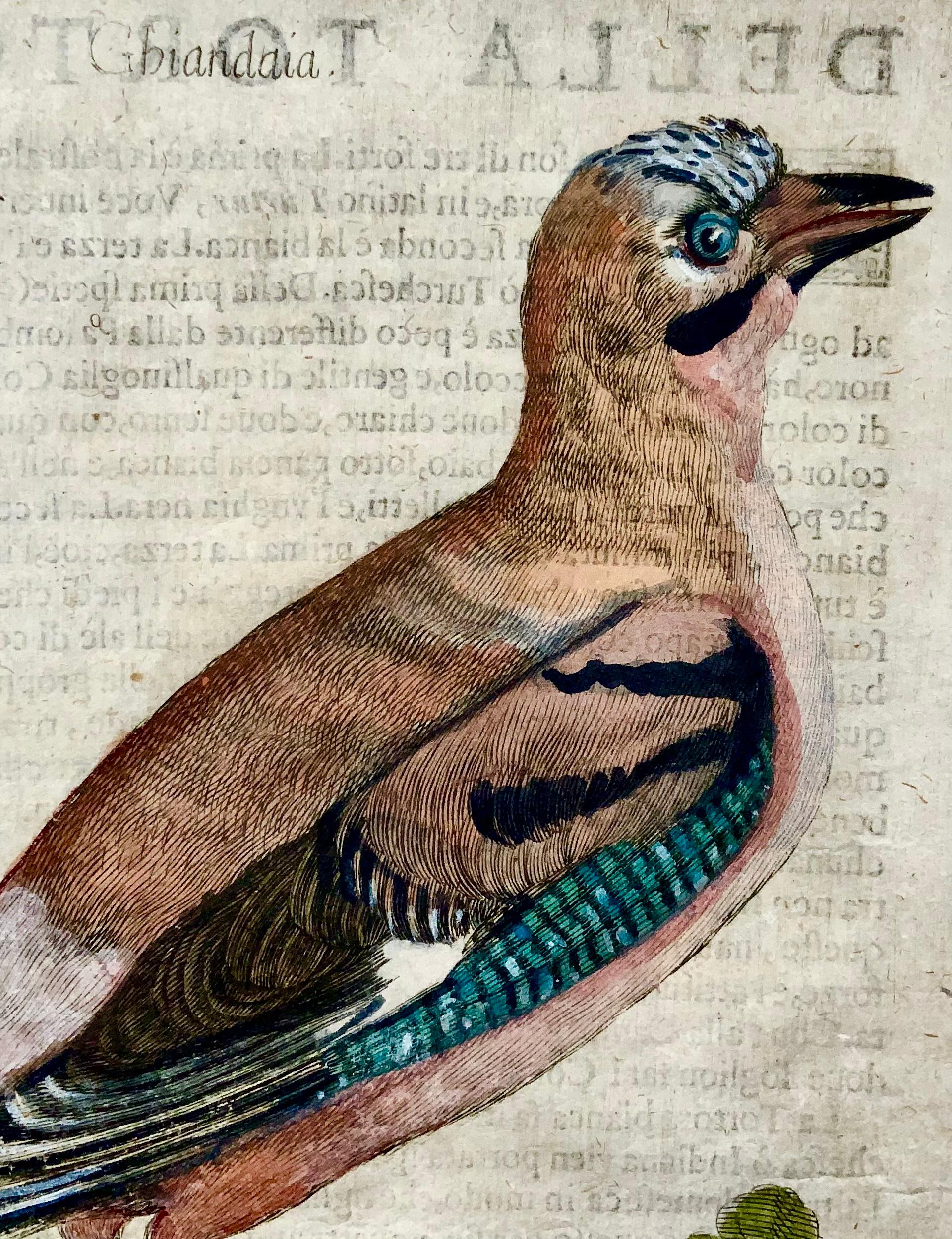Renaissance Jay, Ornithology, Antonio Tempesta; Fr. Villamena, Master Engraving For Sale