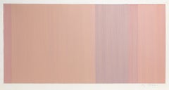 Pittura in campo cromatico di Jay Rosenblum