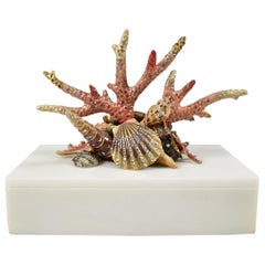 Jay Strongwater Oceana Coral Reef Marble Box 2006 Grotto Collection
