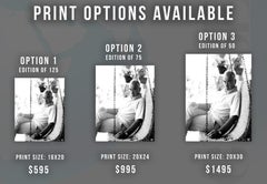 Lorne Green on Swing Fine Art Print