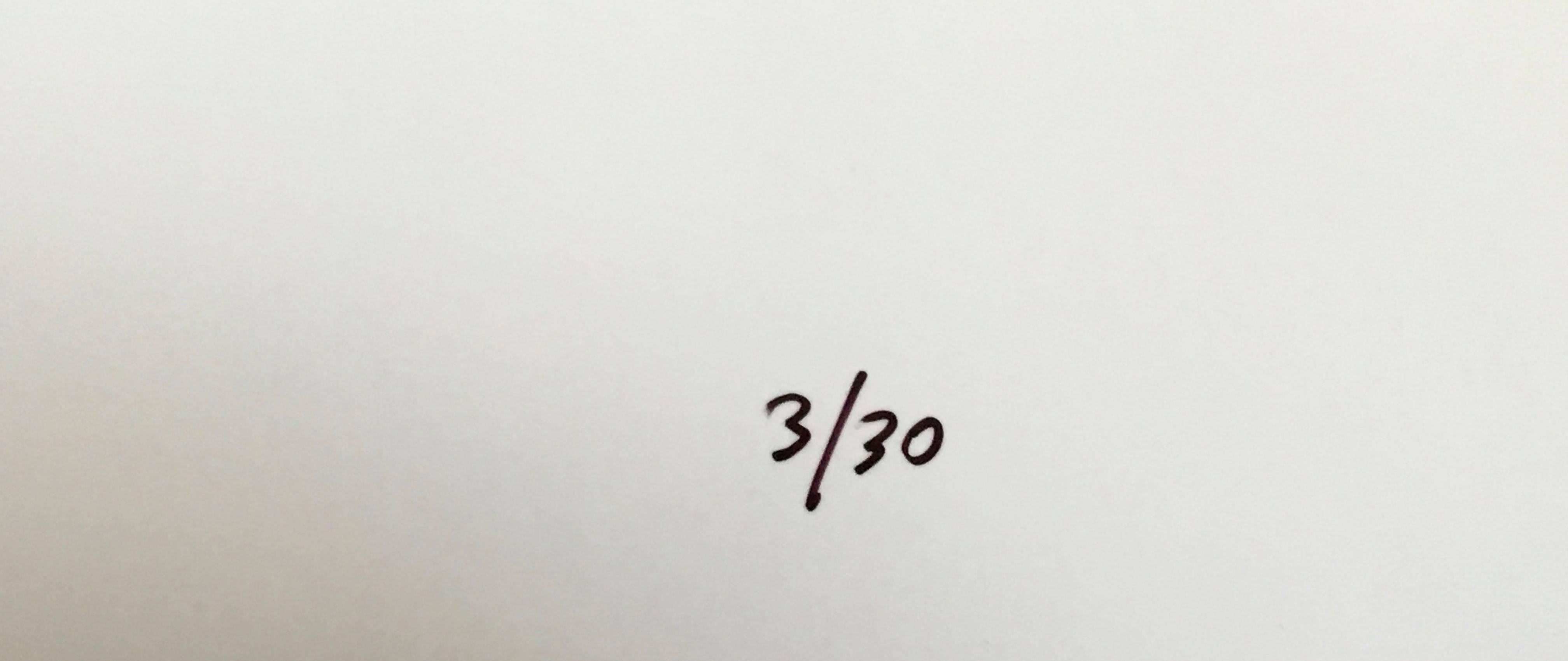 Jay Wolke vit et travaille à Chicago, dans l'Illinois. Il a présenté des expositions individuelles à l'Art Institute of Chicago, au St. Louis Art Museum, à l'université de Harvard et au California Museum of Photography. Ses photographies font partie